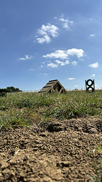 Rural Tails Dog Exercise Park