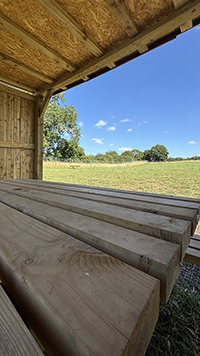 Rural Tails Dog Exercise Park