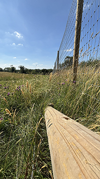 Rural Tails Dog Exercise Park