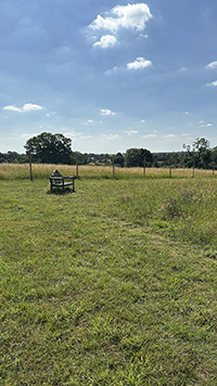 Rural Tails Dog Exercise Park