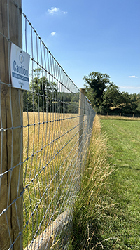 Rural Tails Dog Exercise Park