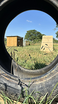 Rural Tails Dog Exercise Park