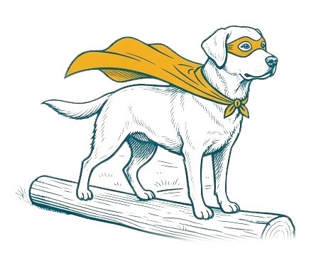 collie superhero